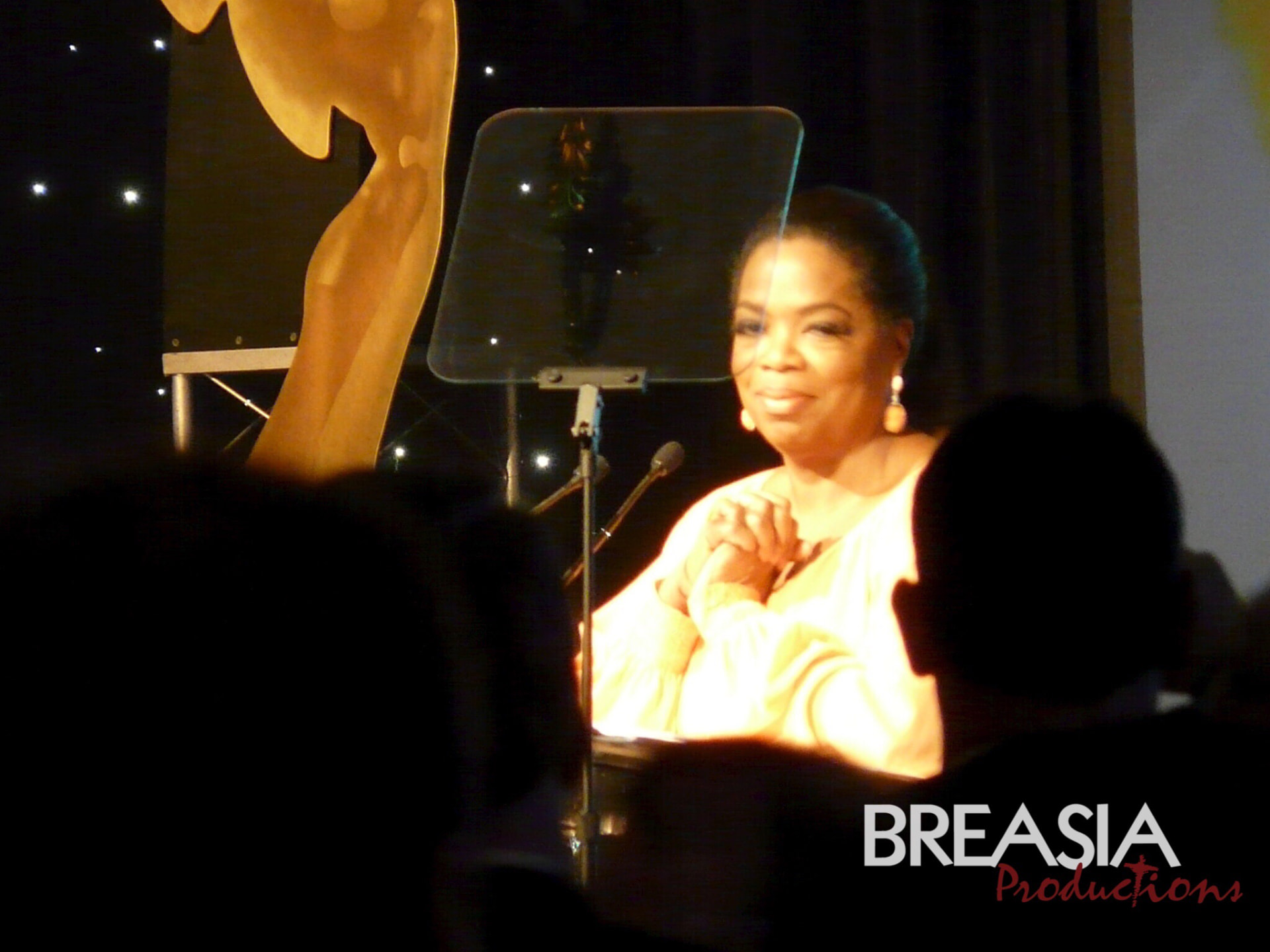 Awards Luncheon IMAG